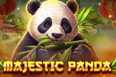 Filipino player reviewing withdrawal options on the ph945 platform